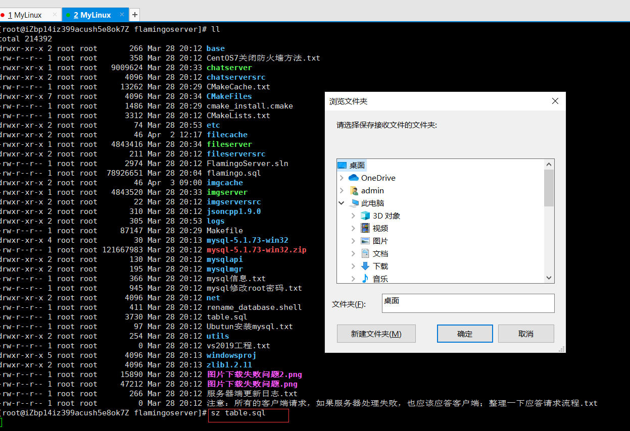 xshell(配图)